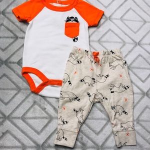 Cat & Jack Raccoon Outfit 🦝